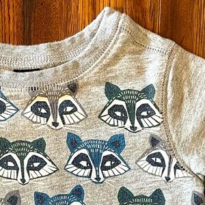 Tea Collection Popover Sweatshirt 2T Raccoon Print